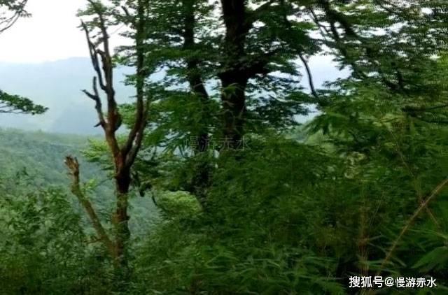 三国快打电脑版5