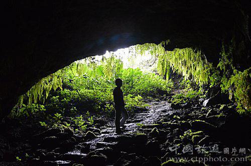 逃离荒废丛林屋