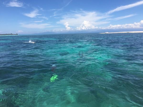 2024春节山东乡村文化旅游节济宁活动启动